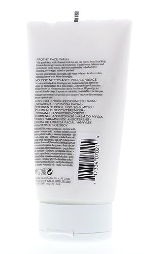 Origins Checks and Balances Frothy Face Wash 5oz, 150ml Skincare Cleansers - Image 7