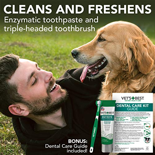Vet's Best Dog Toothbrush & Toothpaste Kit - Natural Ingredients Reduce Plaque, Whiten Teeth, Freshen Breath - Image 4