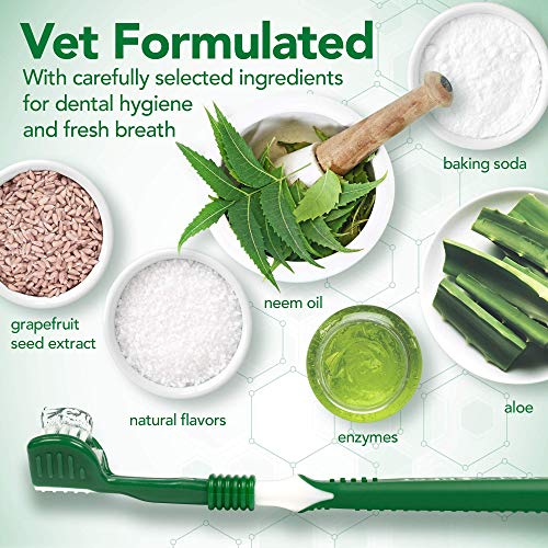 Vet's Best Dog Toothbrush & Toothpaste Kit - Natural Ingredients Reduce Plaque, Whiten Teeth, Freshen Breath - Image 6