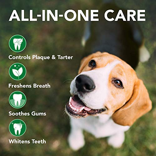 Vet's Best Dog Toothbrush & Toothpaste Kit - Natural Ingredients Reduce Plaque, Whiten Teeth, Freshen Breath - Image 5