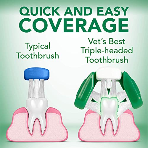 Vet's Best Dog Toothbrush & Toothpaste Kit - Natural Ingredients Reduce Plaque, Whiten Teeth, Freshen Breath - Image 8